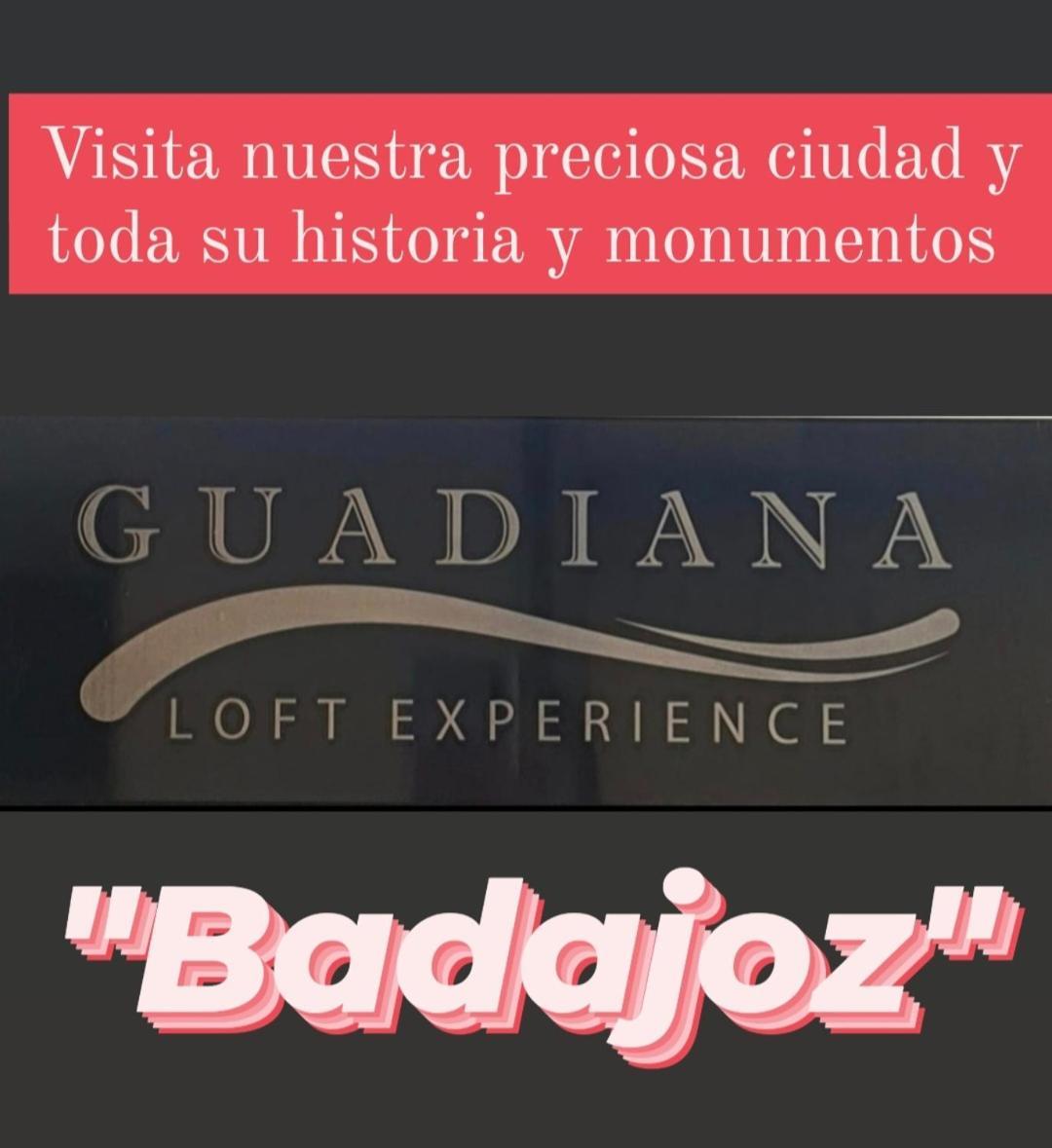 Apartamento Turistico Guadiana Loft Experience Dalia 바다호스 외부 사진